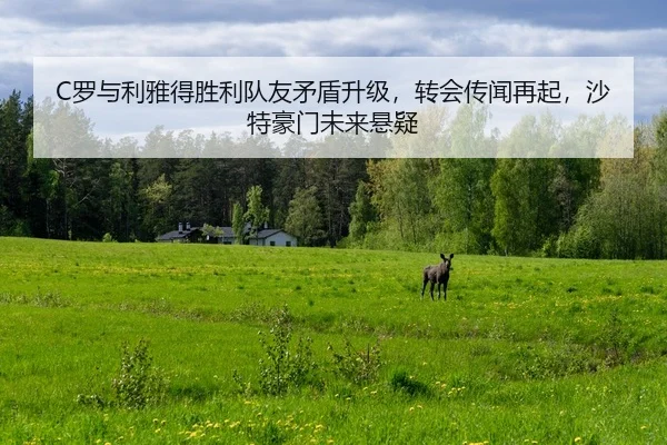 C罗与利雅得胜利队友矛盾升级，转会传闻再起，沙特豪门未来悬疑