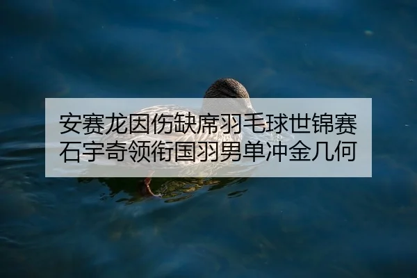 an-sai-long-yin-shang-que-xi-yu-mao-qiu-shi-jin-sai-shi-yu-qi-ling-xian-guo-yu-nan-dan-chong-jin-ji-he-2-582.jpg